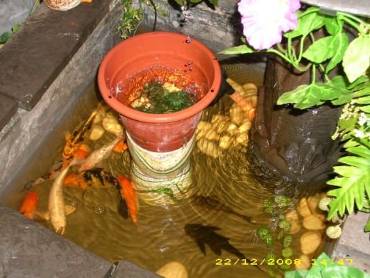 Sekitar MRS Daerah Alor Gajah